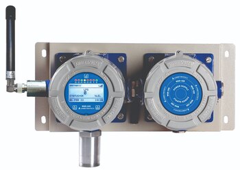 WGD-100-FLP Battery Powered Wireless Gas Detector 